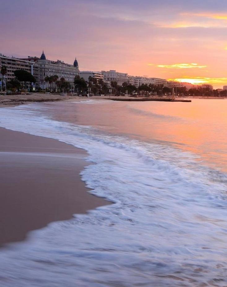 Superbe Studio Proche Palais Et Plages A Pieds Cannes Exterior photo