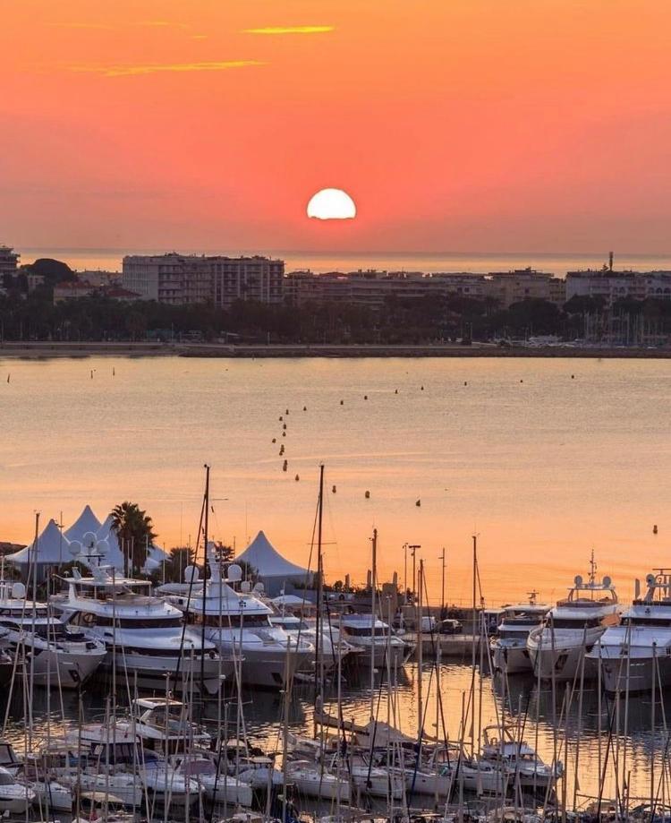 Superbe Studio Proche Palais Et Plages A Pieds Cannes Exterior photo